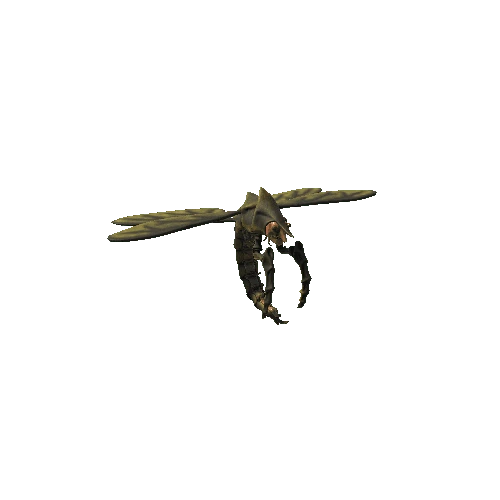 basemesh_FlyingShrimpMonsterV4_green