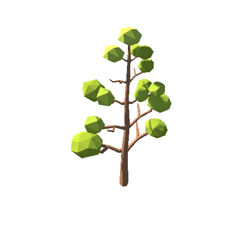 tree_5