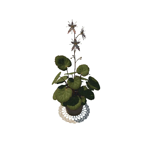 SM_houseplant_02