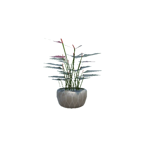 plant_03