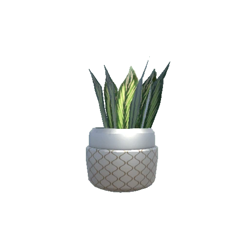 plant_04