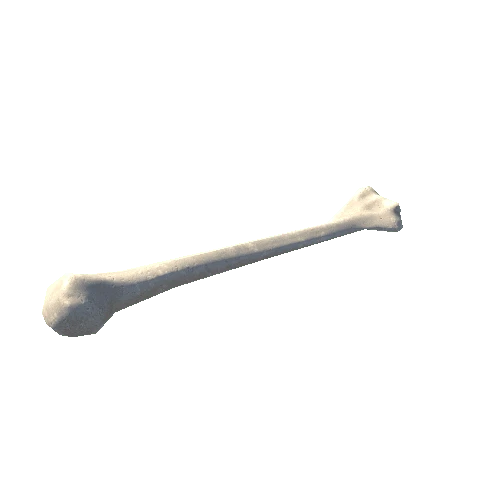 Bone_01