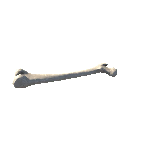 Bone_03