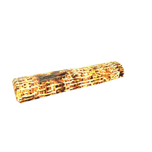 Charred_Log_03