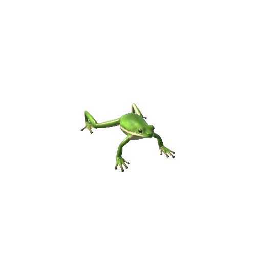 AmericanGreenTreeFrog_LowPoly