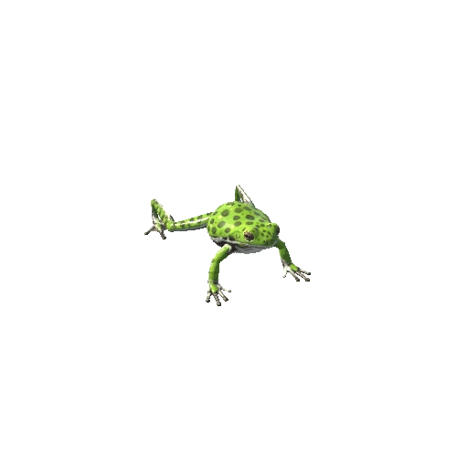 BarkingTreeFrog