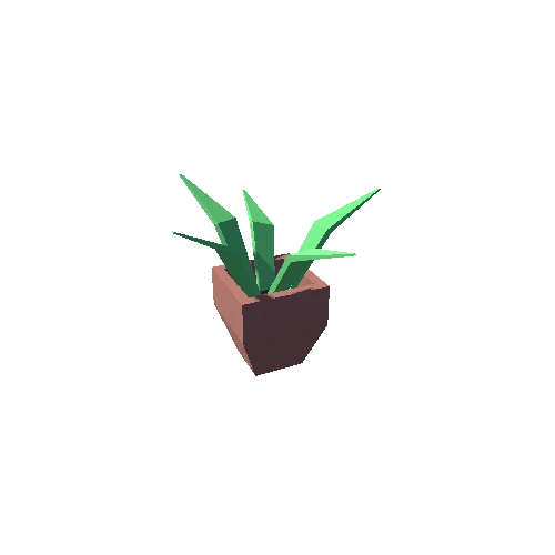 Plant2