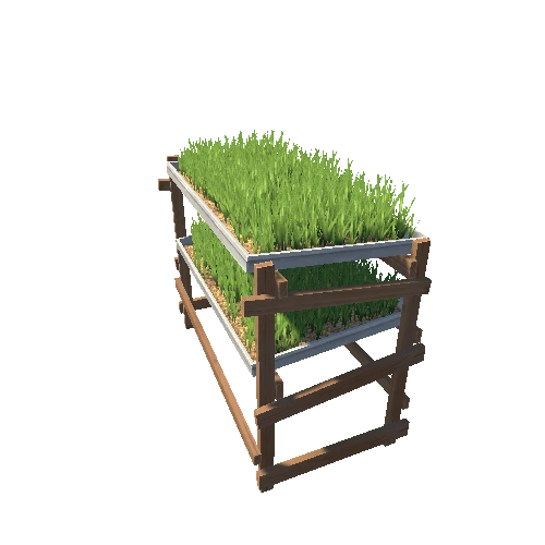 hydroponics_tray_wheatgrass