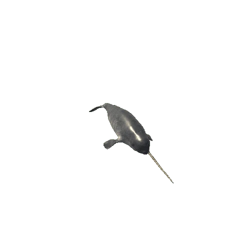Narwhal_Mesh