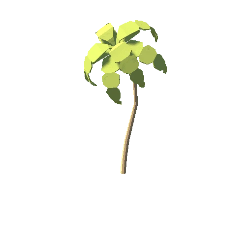 PalmTree46