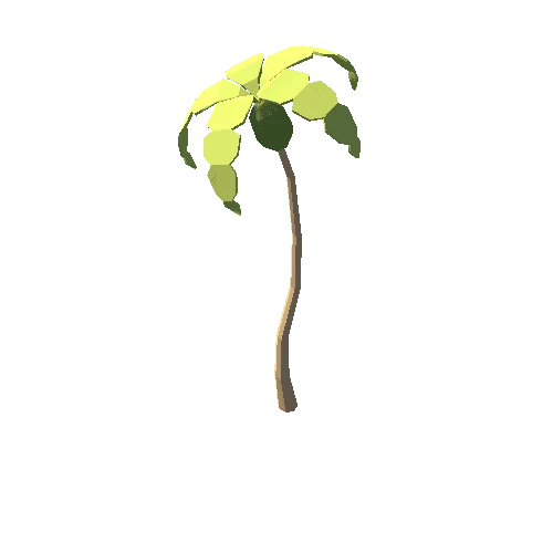 PalmTree56