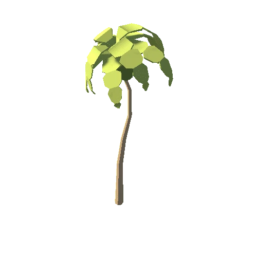 PalmTree65