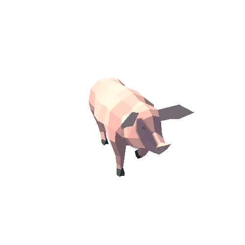 Pig