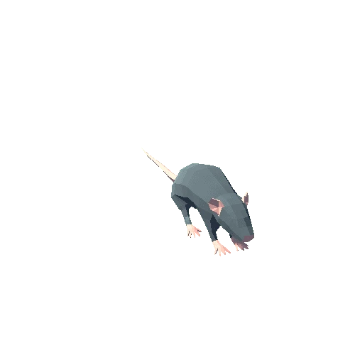 Rat