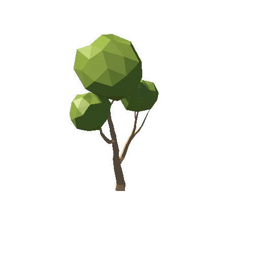 Type1Tree3