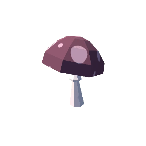 mushroom17