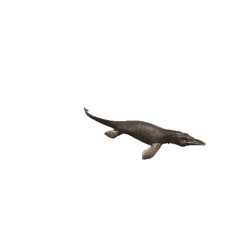 20_Tylosaurus_Up_LEFT30_Swim_Anim