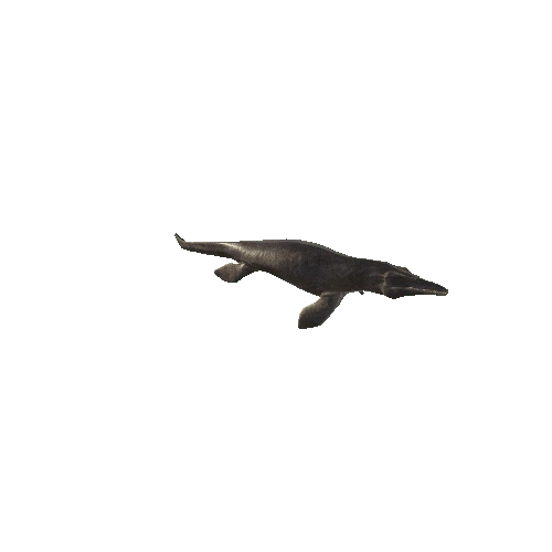 23_Tylosaurus_Down_LEFT30_Swim_Anim