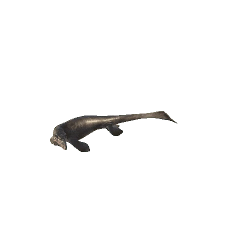 24_Tylosaurus_RIGHT90_Swim_Anim