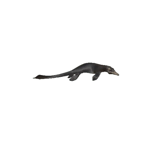 25_Tylosaurus_LEFT90_Swim_Anim
