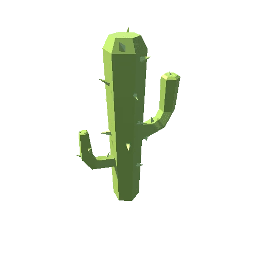 Cactus_B