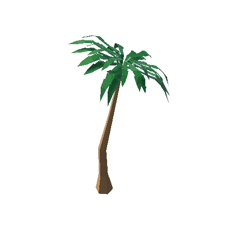 Palm_Tree_A