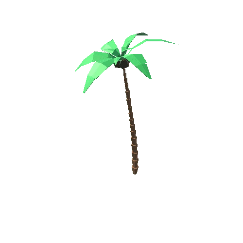 Palm_Tree_C