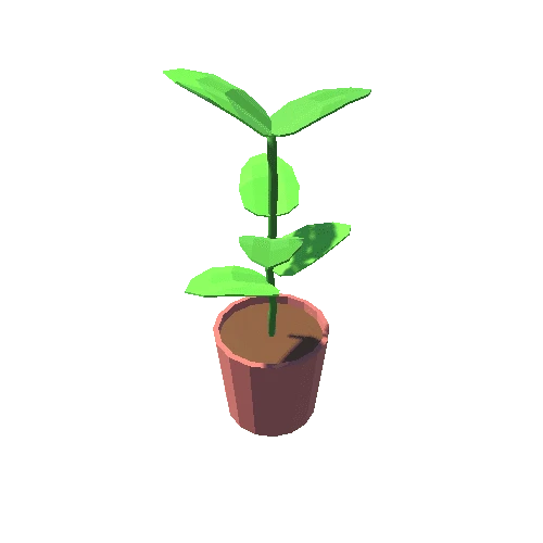 Prop_Homeplant_05