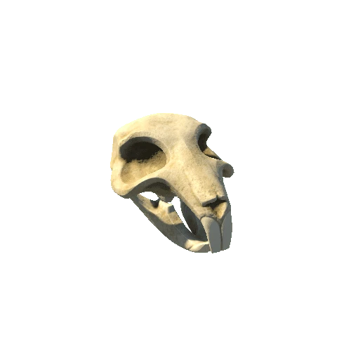 RatSkull