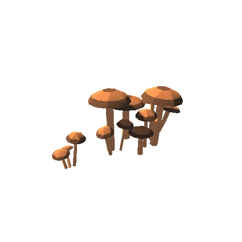 mushrooms_08