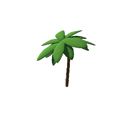 Palm