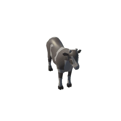 cow1