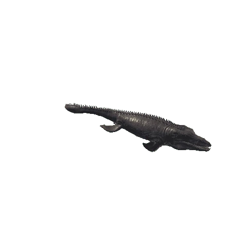 03_Mosasaurus_Forward_LEFT_Swim_Anim