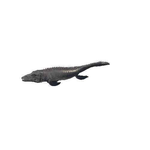 06_Mosasaurus_RIGHT90_Swim_Anim