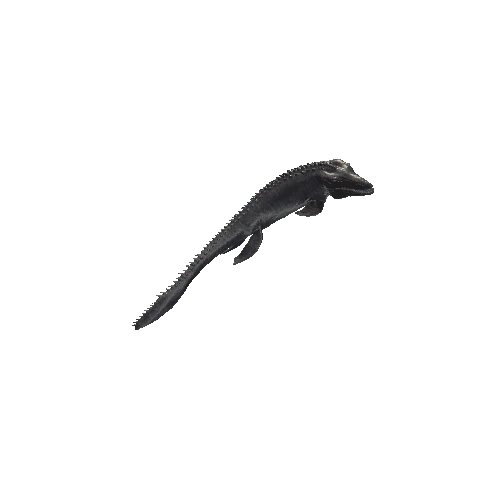 26_Mosasaurus_Up_LEFT90_HEAD_Swim_Anim