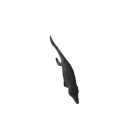 42_Mosasaurus_Down_Speed_Swim_Anim