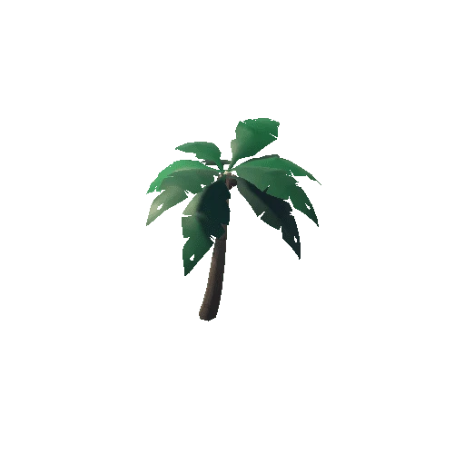 LostCove_PalmTree_02