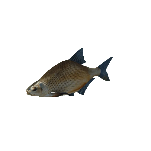 BreamFish