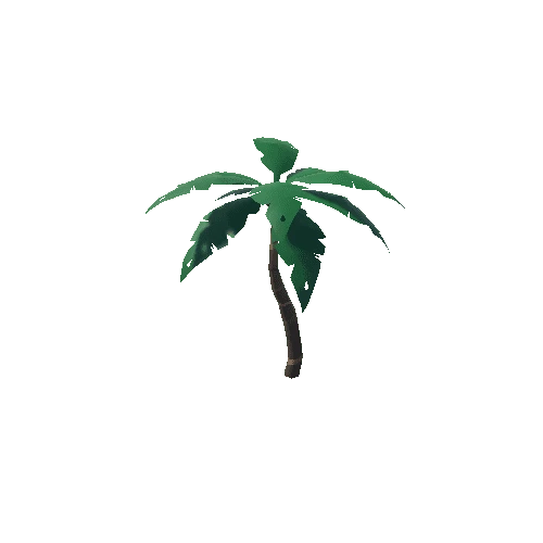 LostCove_PalmTree_03