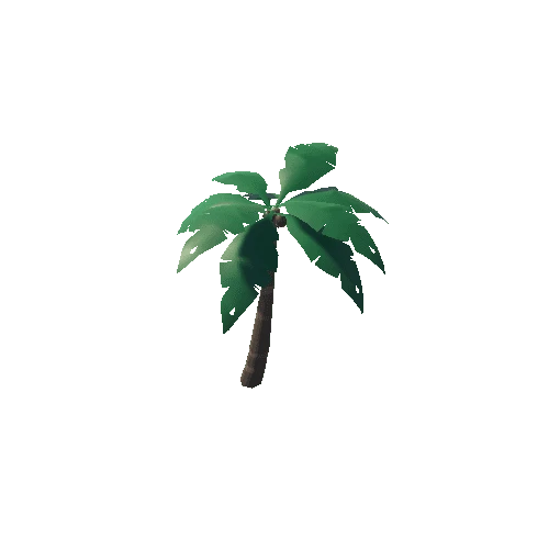 LostCove_PalmTree_04