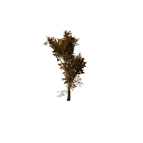 Tree_medium_01_dry_LOD1