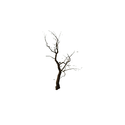 Tree_medium_01_noLeafes_LOD0