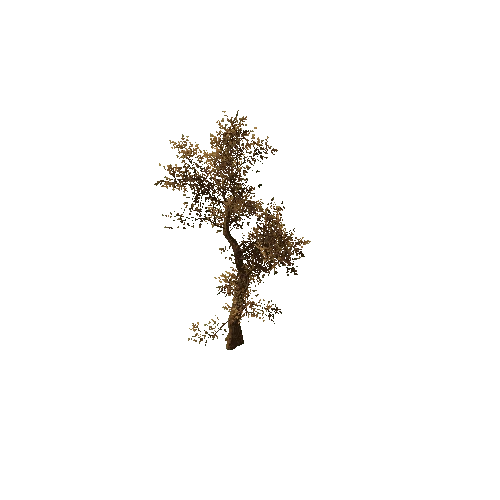 Tree_medium_01_very_dry