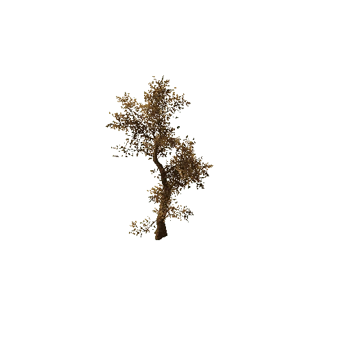 Tree_medium_01_very_dry_LOD0