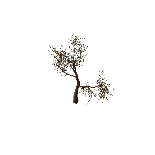 Tree_medium_02_dead_LOD1