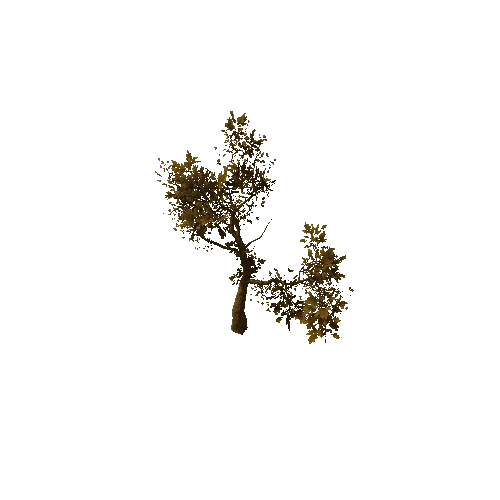 Tree_medium_02_dry_LOD1