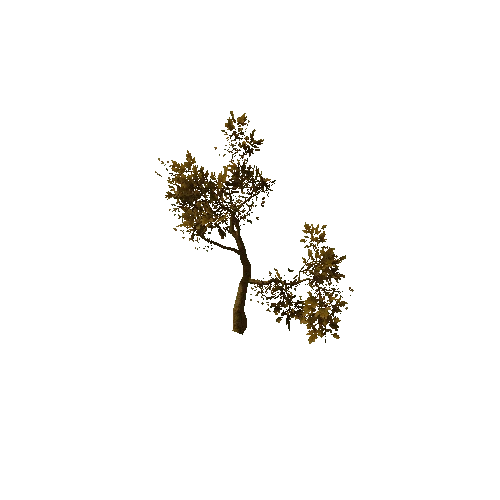 Tree_medium_02_dry_LOD2