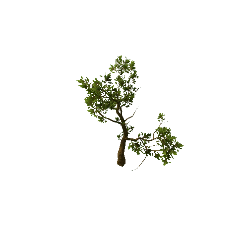 Tree_medium_02_green_LOD0