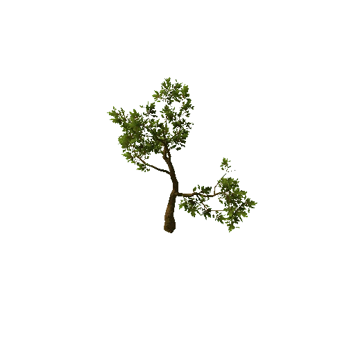 Tree_medium_02_green_LOD1