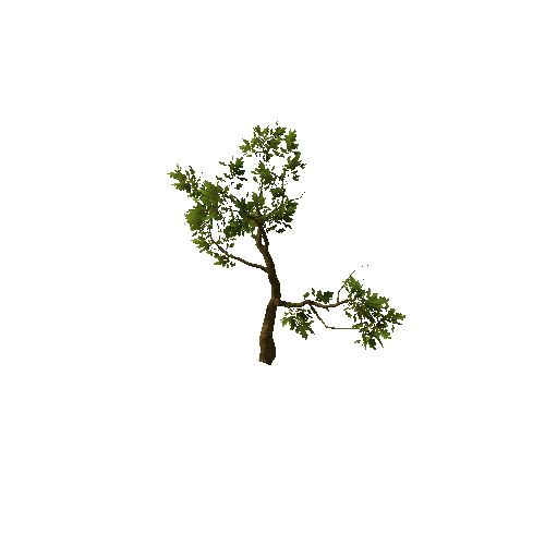 Tree_medium_02_green_LOD2